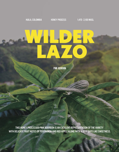 Colombia - Wilder Lazo - Honey Pink Bourbon