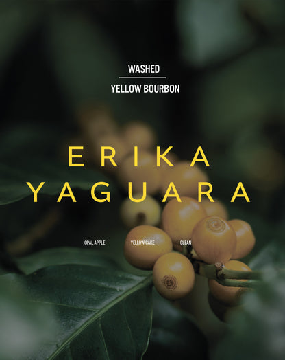 Colombia - Erika Yaguara - Washed Yellow Bourbon