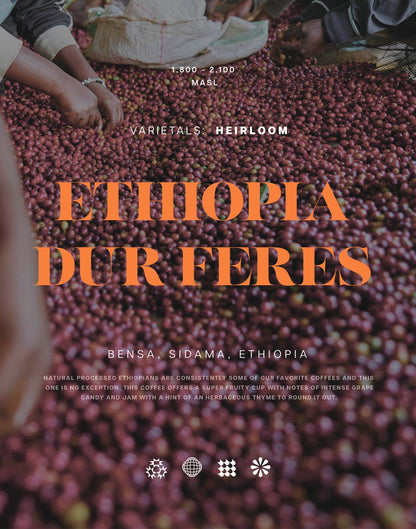 Ethiopia - Dur Feres - Natural Heirloom