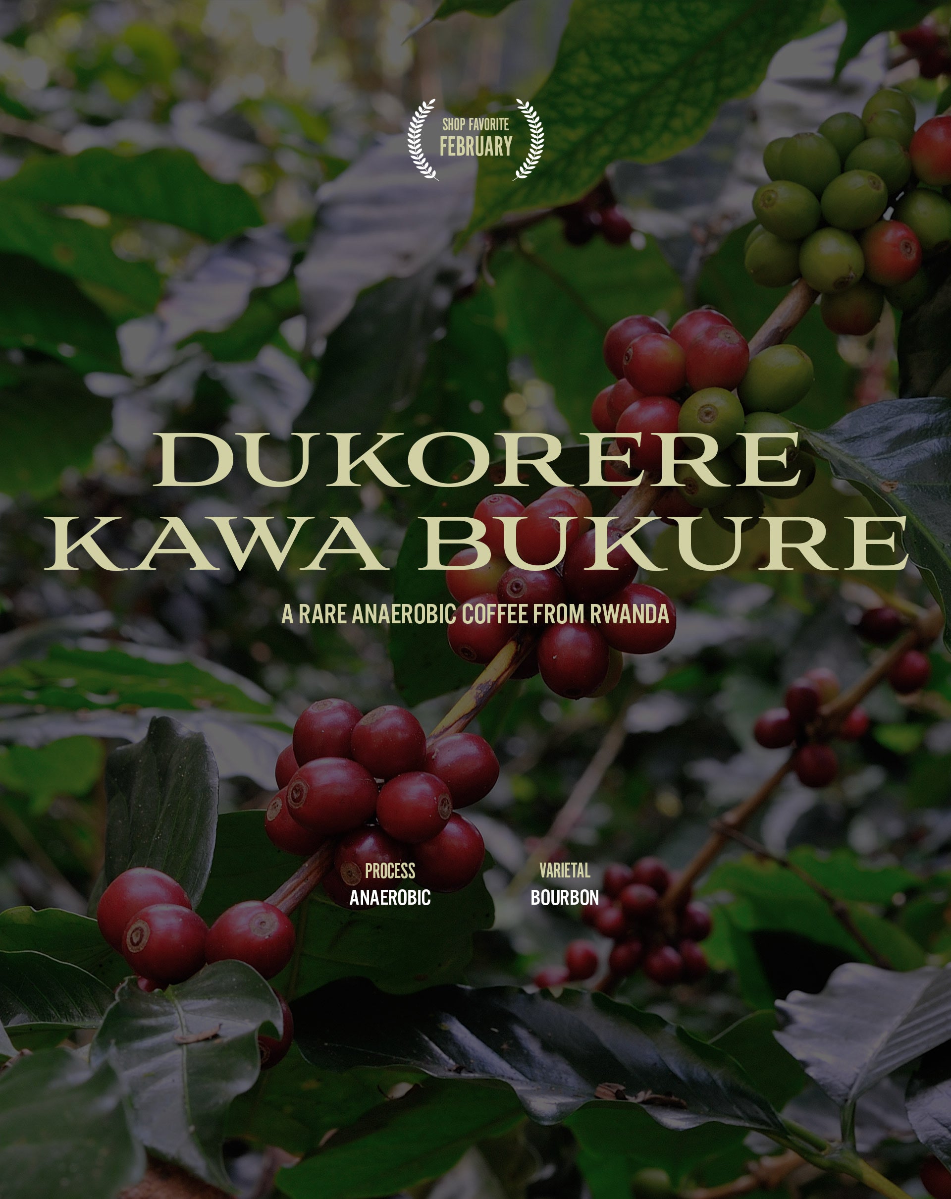 Rwanda - Dukorere Kawa Bukure - Anaerobic Bourbon